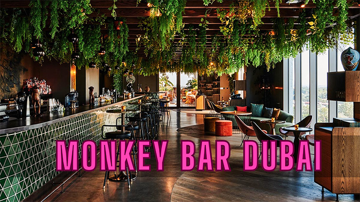 Monkey Bar in Dubai